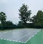 纵情燃烧是什么意思